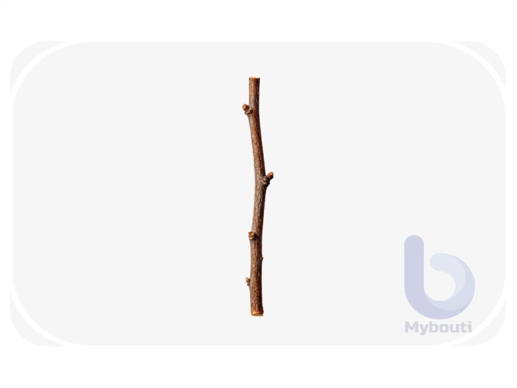 twig